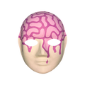 BRAINROT MASK